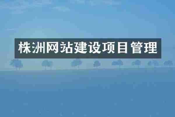株洲网站建设项目管理