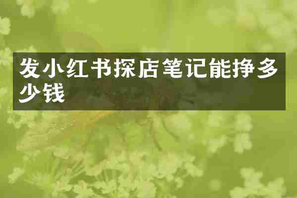 发小红书探店笔记能挣多少钱