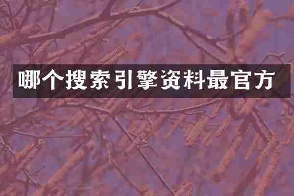 哪个搜索引擎资料最官方