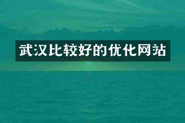 武汉比较好的优化网站