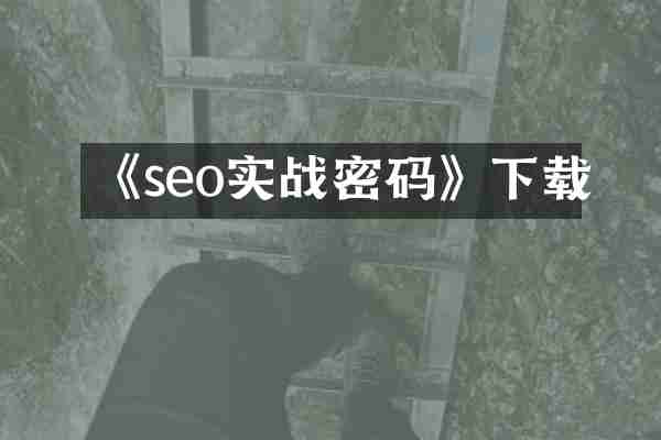 《seo实战密码》下载