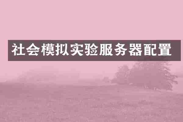 社会模拟实验服务器配置