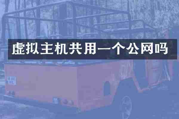 虚拟主机共用一个公网吗