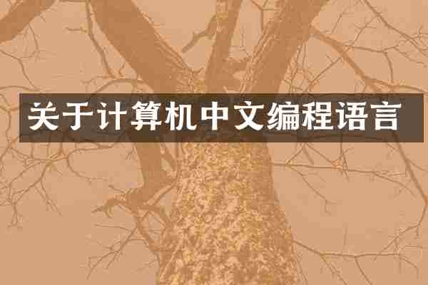 关于计算机中文编程语言