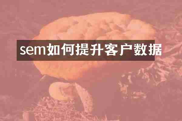 sem如何提升客户数据