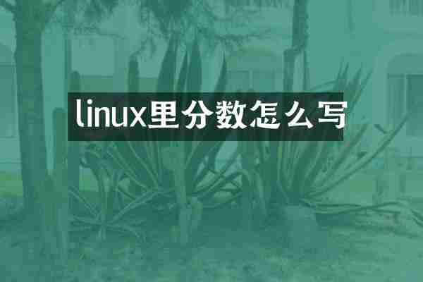 linux里分数怎么写