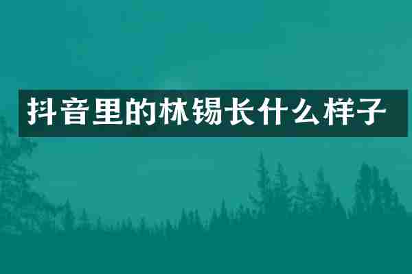 抖音里的林锡长什么样子