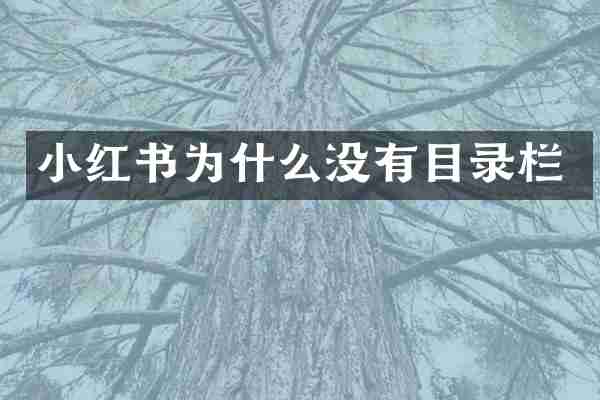 小红书为什么没有目录栏