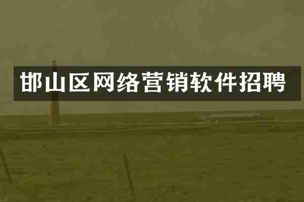 邯山区网络营销软件招聘
