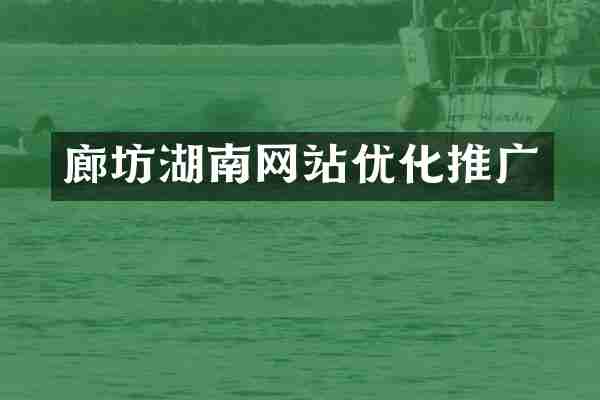 廊坊湖南网站优化推广