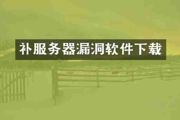补服务器漏洞软件下载