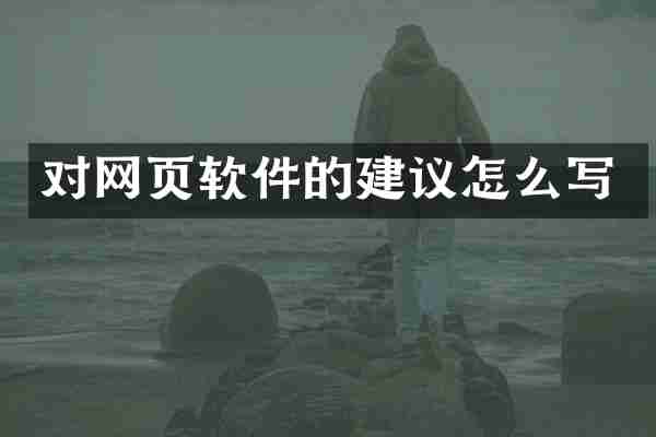 对网页软件的建议怎么写