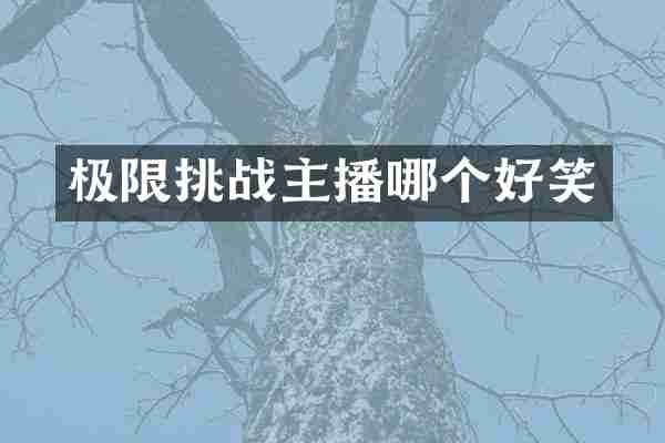 极限挑战主播哪个好笑
