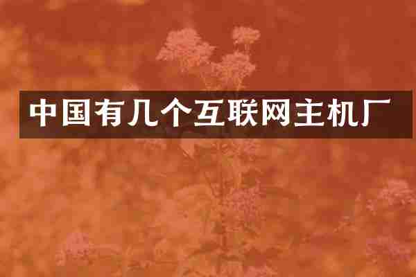 中国有几个互联网主机厂