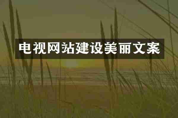 电视网站建设美丽文案