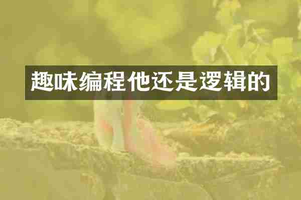 趣味编程他还是逻辑的
