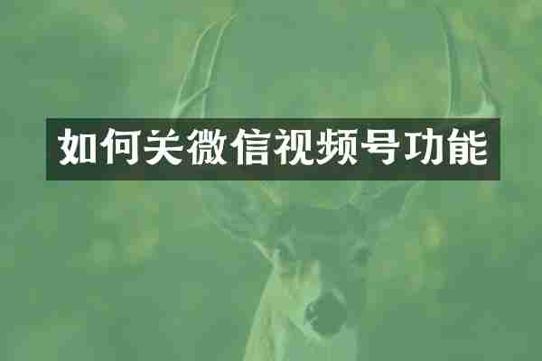 如何关微信视频号功能