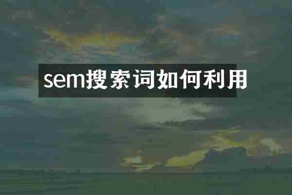 sem搜索词如何利用