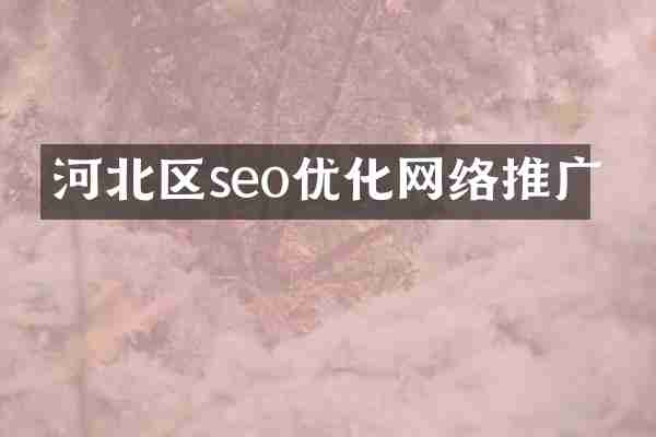 河北区seo优化网络推广