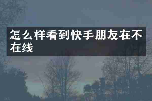 怎么样看到快手朋友在不在线