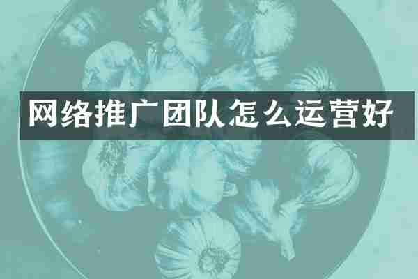 网络推广团队怎么运营好