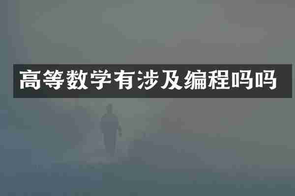 高等数学有涉及编程吗吗