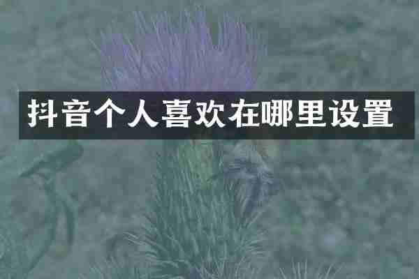 抖音个人喜欢在哪里设置