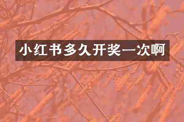 小红书多久开奖一次啊
