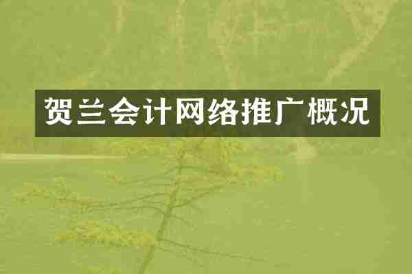 贺兰会计网络推广概况