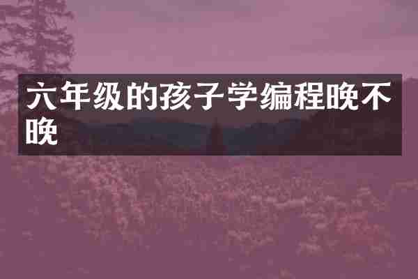 六年级的孩子学编程晚不晚