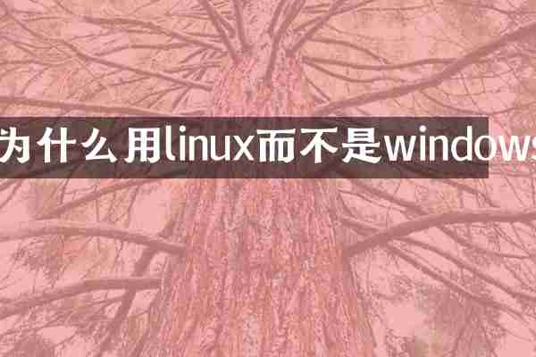 为什么用linux而不是windows
