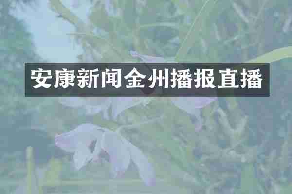安康新闻金州播报直播