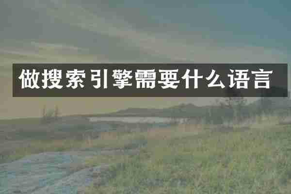 做搜索引擎需要什么语言