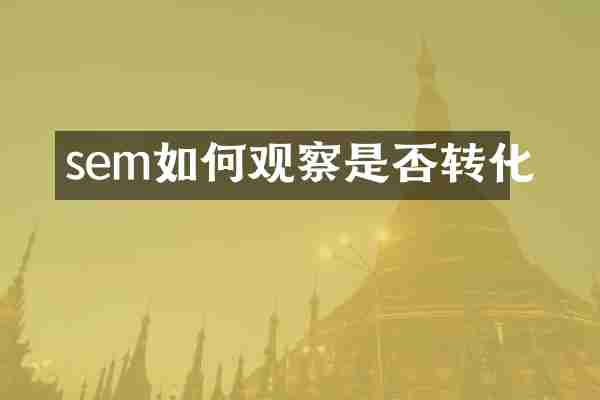 sem如何观察是否转化