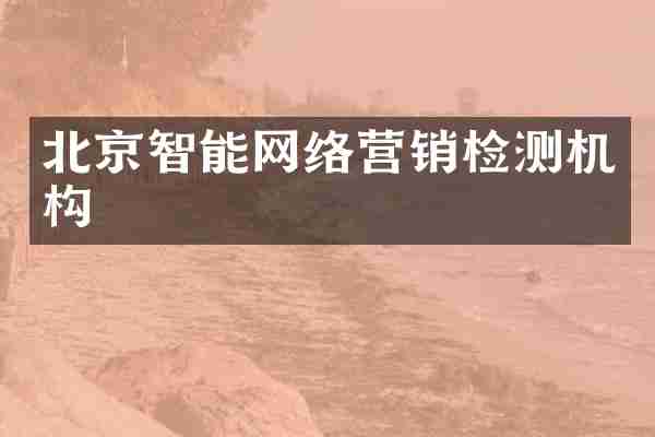 北京智能网络营销检测机构
