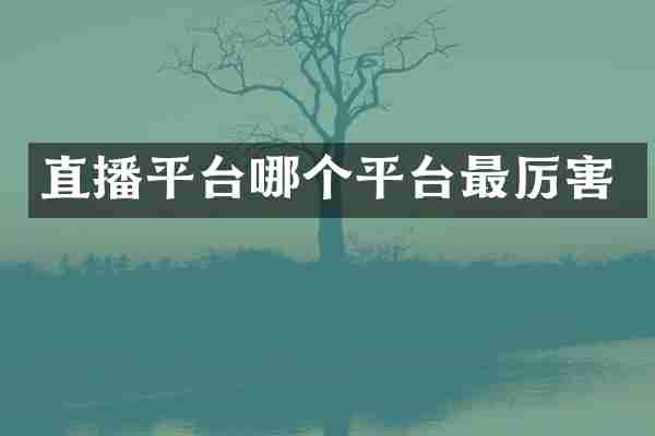 直播平台哪个平台最厉害