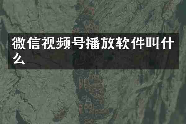 微信视频号播放软件叫什么