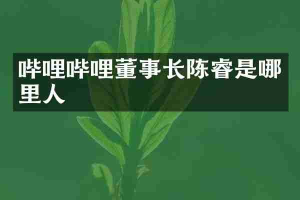 哔哩哔哩董事长陈睿是哪里人