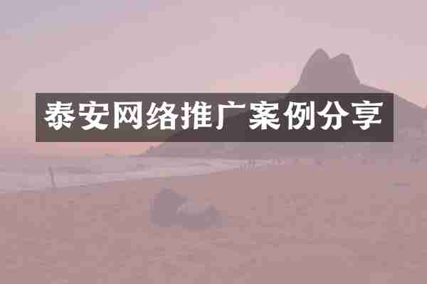 泰安网络推广案例分享