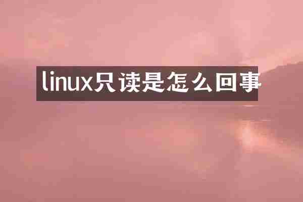 linux只读是怎么回事