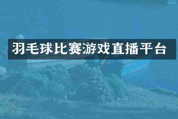 羽毛球比赛游戏直播平台