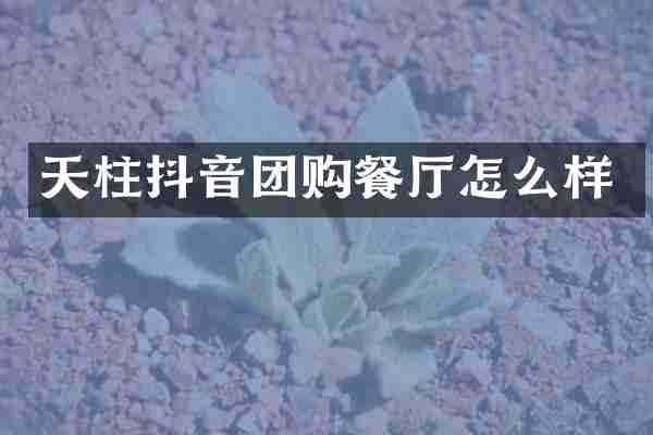 天柱抖音团购餐厅怎么样