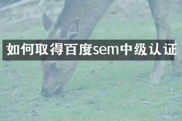 如何取得百度sem中级认证