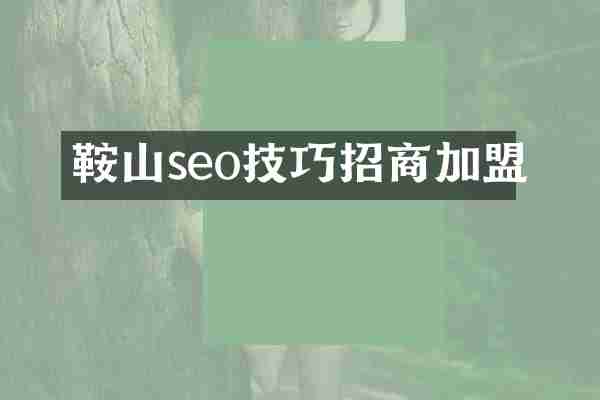 鞍山seo技巧招商加盟