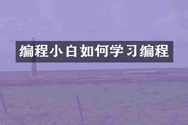 编程小白如何学习编程
