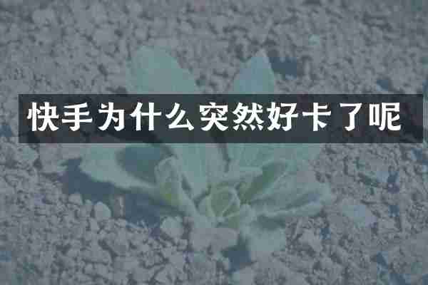 快手为什么突然好卡了呢