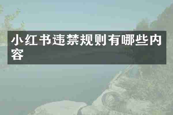 小红书违禁规则有哪些内容