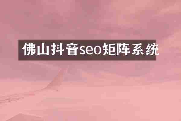 佛山抖音seo矩阵系统