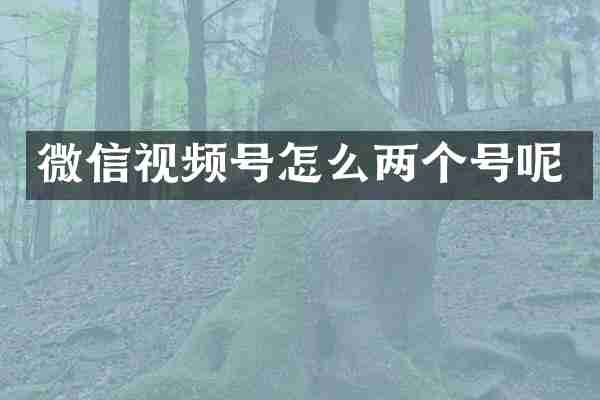 微信视频号怎么两个号呢