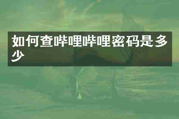 如何查哔哩哔哩密码是多少